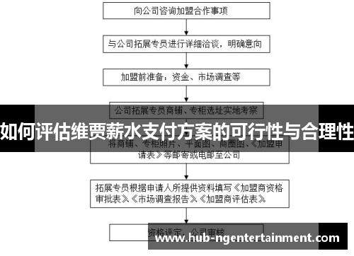 如何评估维贾薪水支付方案的可行性与合理性
