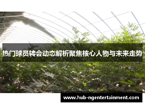 热门球员转会动态解析聚焦核心人物与未来走势