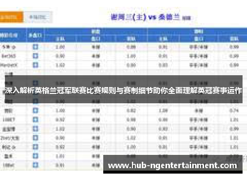 深入解析英格兰冠军联赛比赛规则与赛制细节助你全面理解英冠赛事运作 深入解析英格兰冠军联赛比赛规则与赛制细节助你全面理解英冠赛事运作