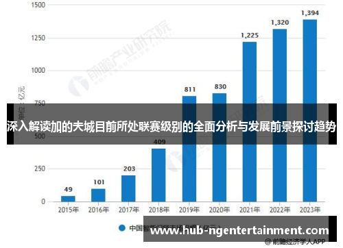 深入解读加的夫城目前所处联赛级别的全面分析与发展前景探讨趋势
