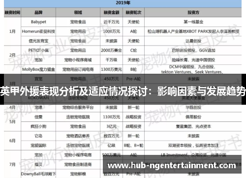英甲外援表现分析及适应情况探讨：影响因素与发展趋势